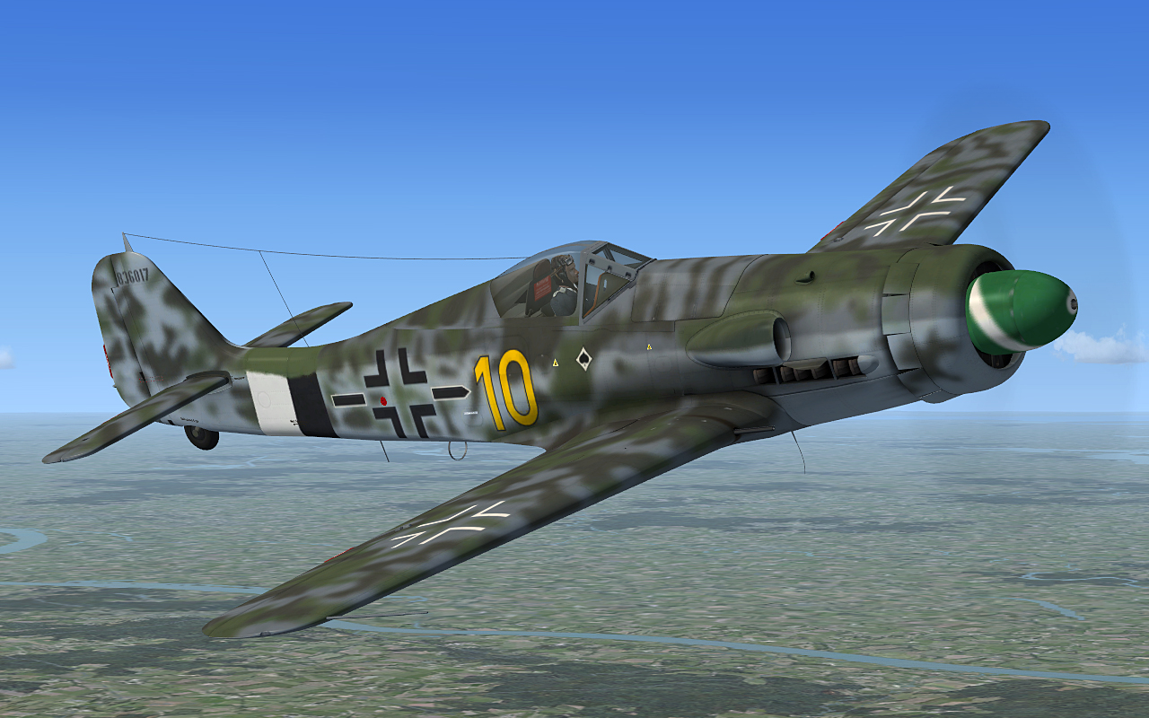 fw190d-13_13.jpg