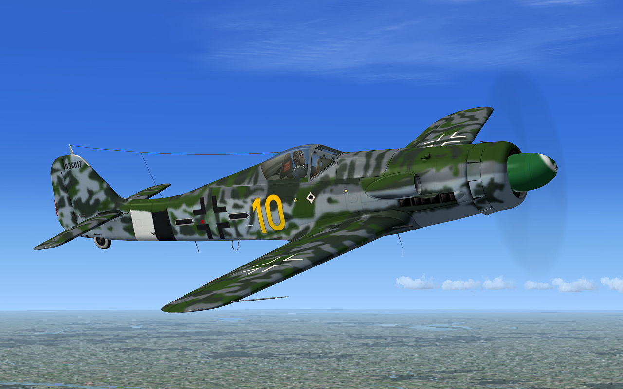 fw190d-13_14.jpg