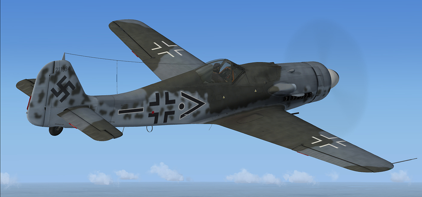 fw190d-9_40.jpg