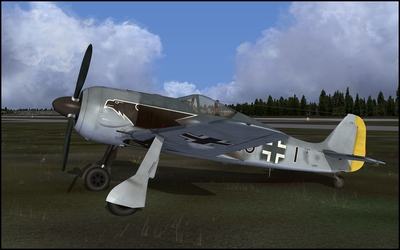 Paint_FW190_002