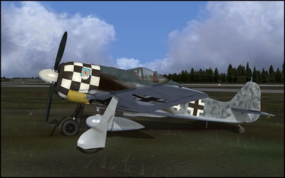 Paint_FW190_005