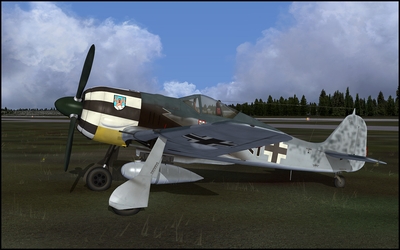 Paint_FW190_006