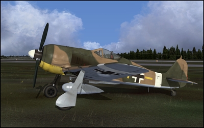 Paint_FW190_007