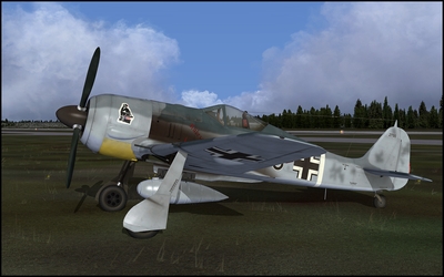 Paint_FW190_012