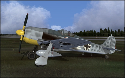 Paint_FW190_013