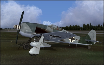 Paint_FW190_016