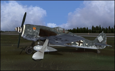 Paint_FW190_018