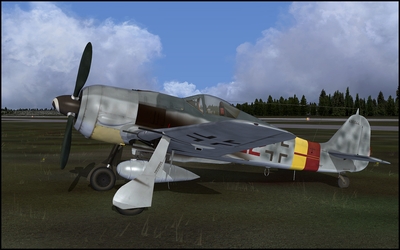 Paint_FW190_020