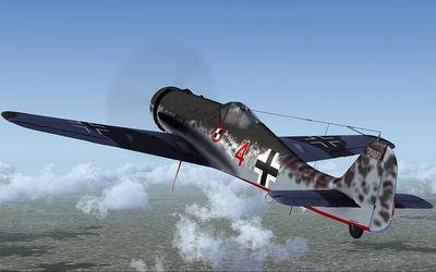 fw190d-11_04