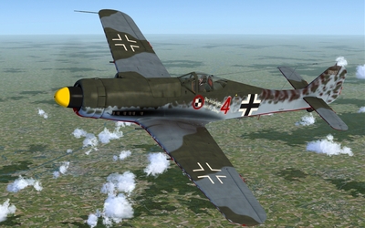 fw190d-11_05