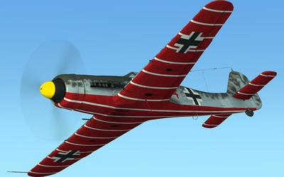 fw190d-11_06