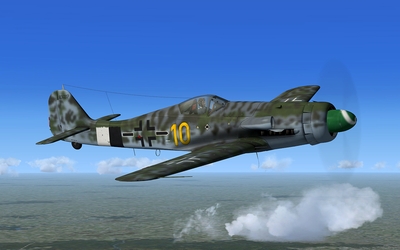 fw190d-13_06