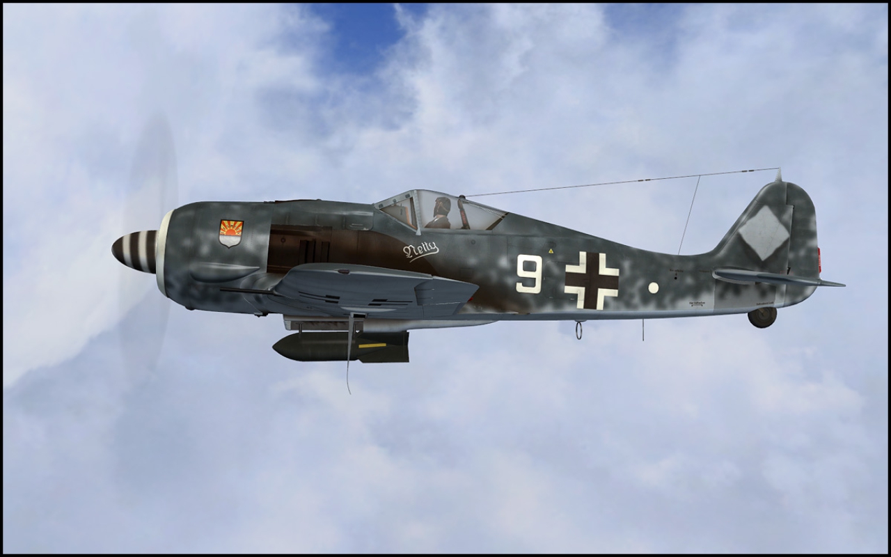 Fw 190 A Compilation (Flight1 Edition)