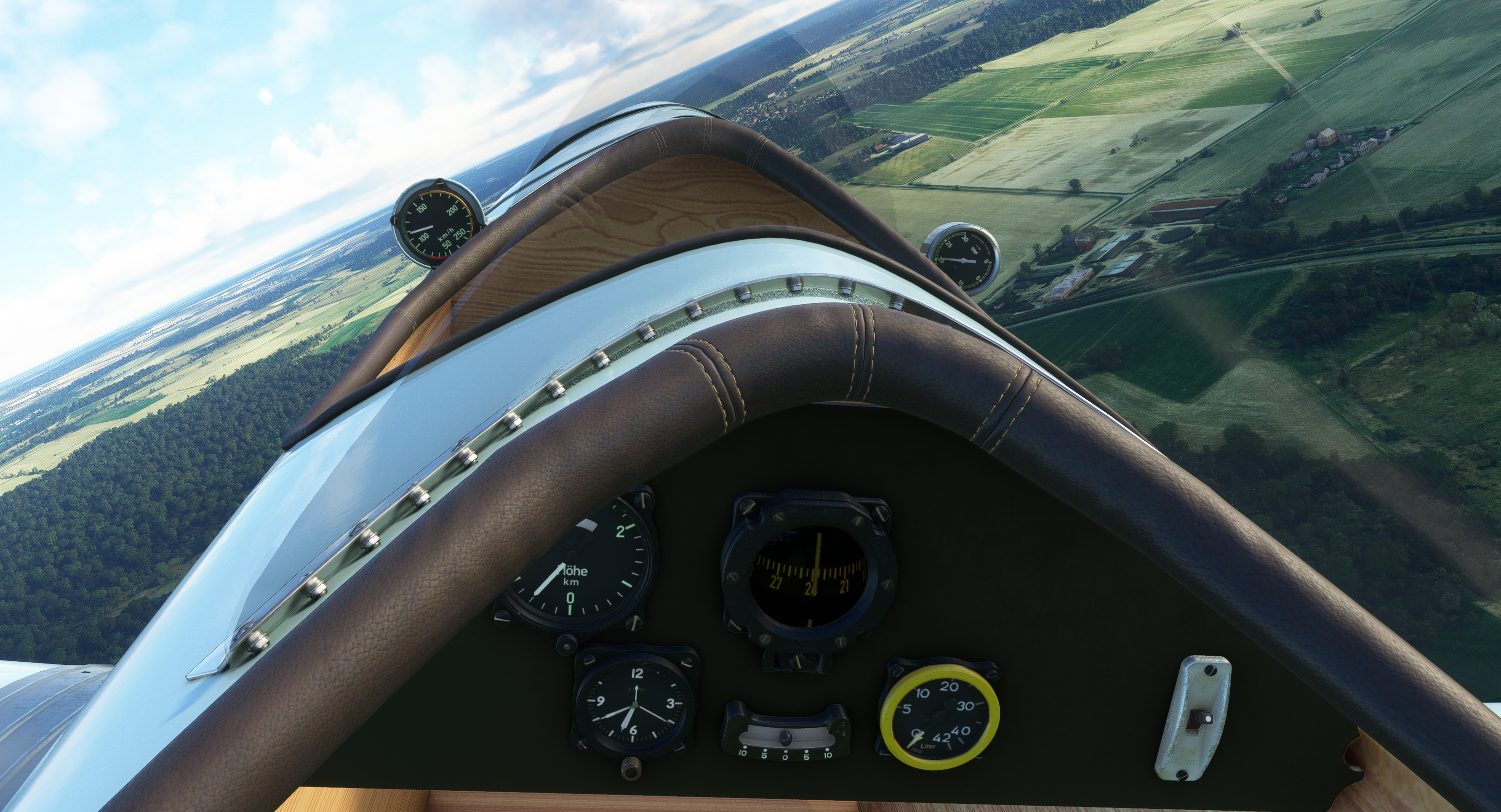 MSFS_KLEMM25_121.jpg